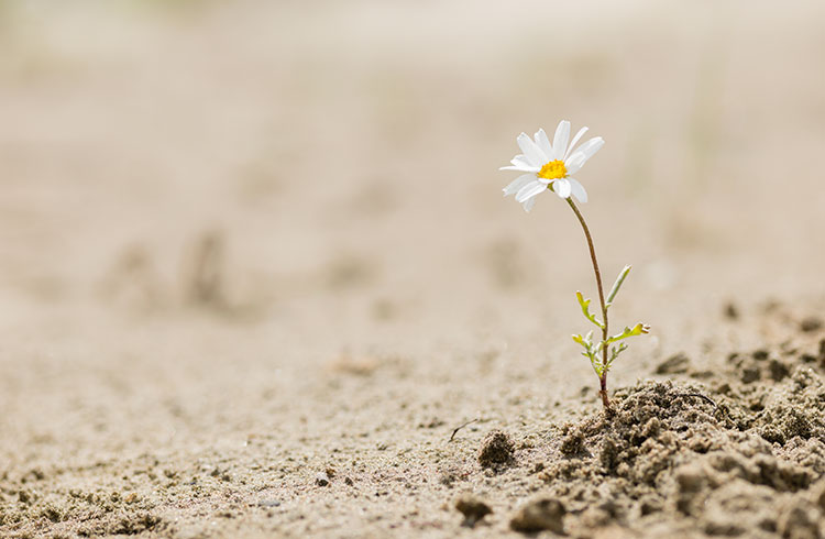Resilienz: Wie Sie Krisen wie einen Schlaganfall oder Corona-Stress gut meistern
